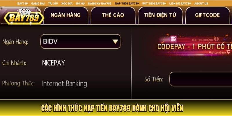 Hướng Dẫn Nạp Tiền Bay789 Chi Tiết Với Từng Phương Thức 3 Điều lưu tâm khi nạp tiền Bay789 dành cho hội viên