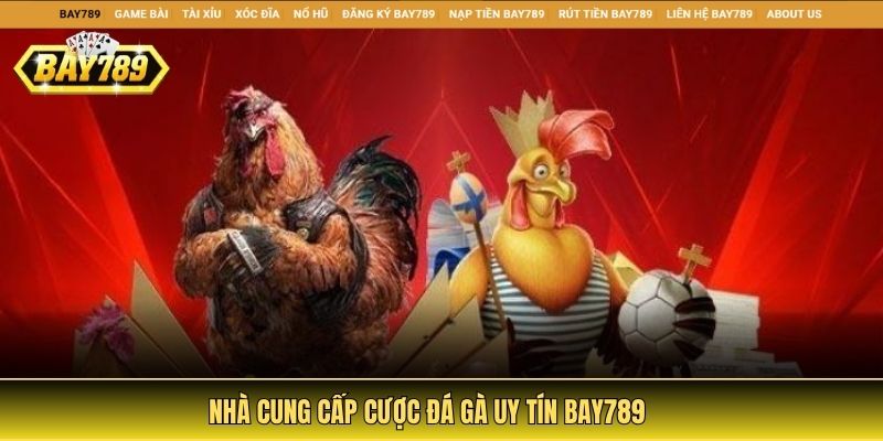 Nhà cung cấp cược đá gà uy tín Bay789