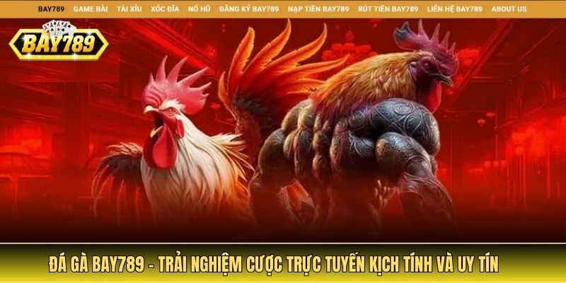 Đá gà Bay789 mang đến trải nghiệm cá cược trực tuyến kịch tính